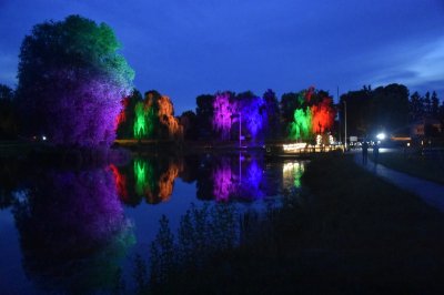 Koncert na molo. Janusz Pruniewicz